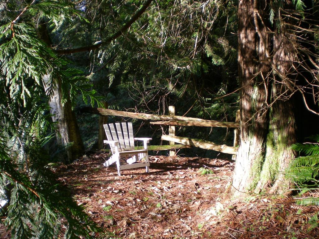 세첼트 Davis Brook Retreat B&B 외부 사진